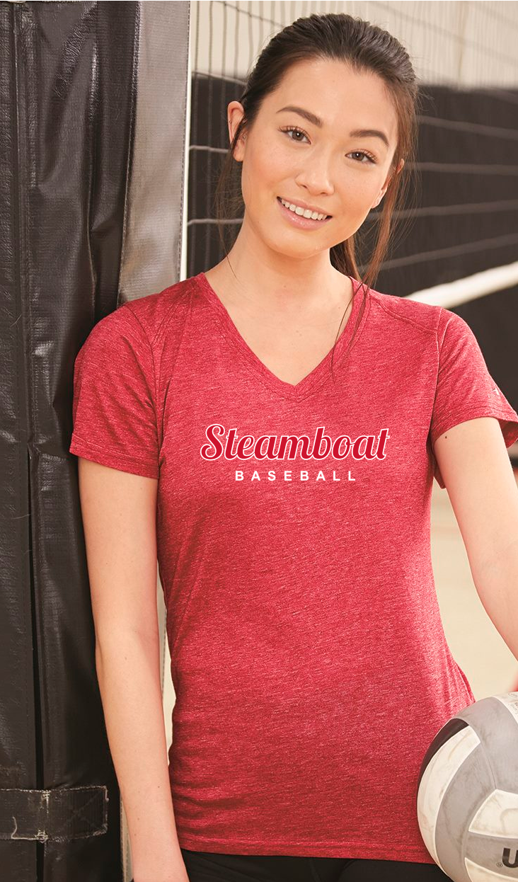 Ladies Triblend V-Neck Tee
